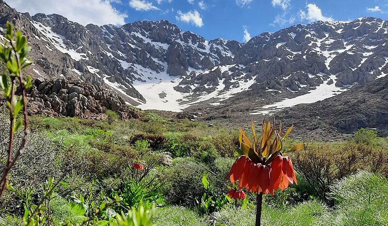 لە سەمای دڵڕفێنی دەف تا تامی کەلانەی کوردی؛ کوردستان شوێنێکی بێوێنە بۆ گەشتیاری