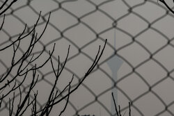 جلسه کارگروه اضطرار آلودگی هوا امروز برگزار می‌شود