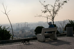 تمدید دورکاری ادارات در برخی شهرهای استان تهران؛ مراکز آموزشی مجازی شد