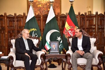 Tehran, Islamabad play key role in confronting common threats