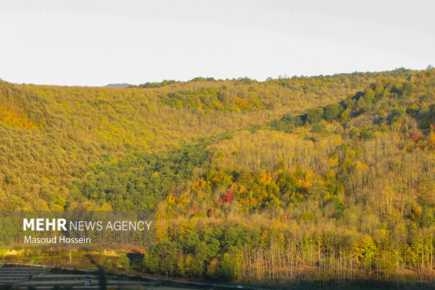 پاییز سوادکوه