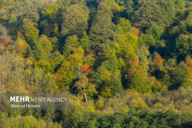 پاییز سوادکوه