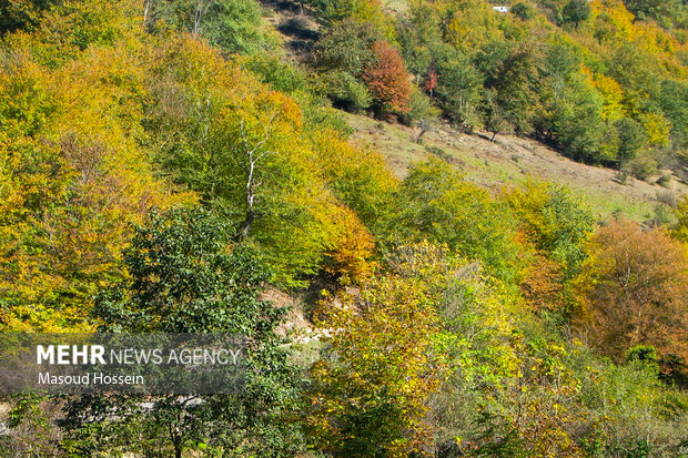 پاییز سوادکوه