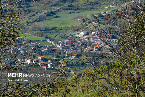 پاییز سوادکوه