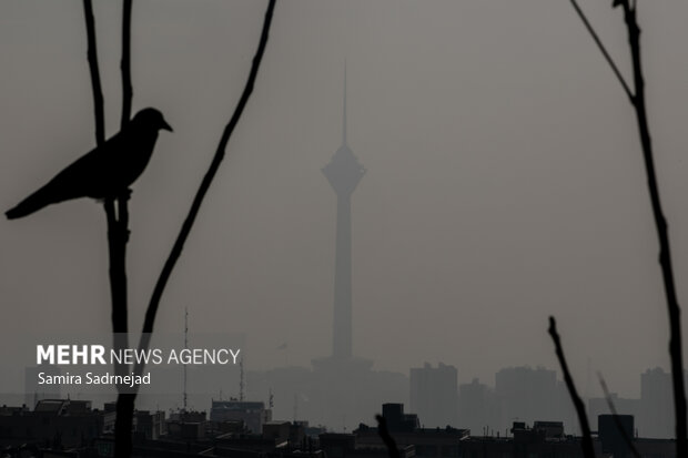 آلودگی هوای تهران