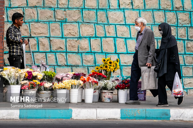 Air pollution in Tehran
