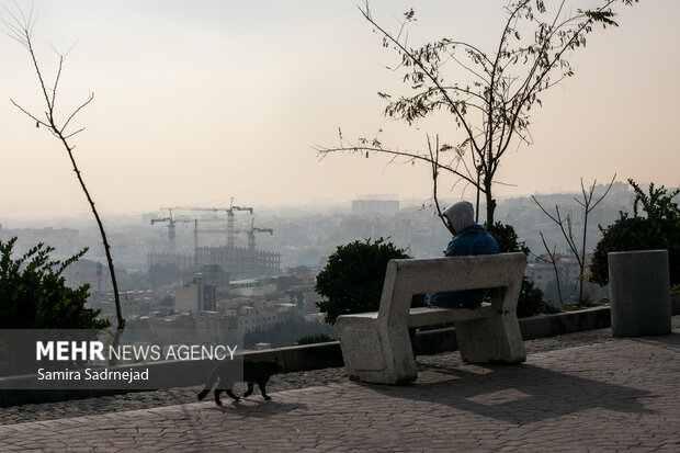تمدید طرح زوج و فرد از در منازل و محدودیت تردد کامیون‌ها در تهران