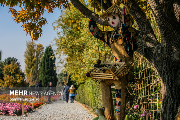 جشنواره گل‌های داودی