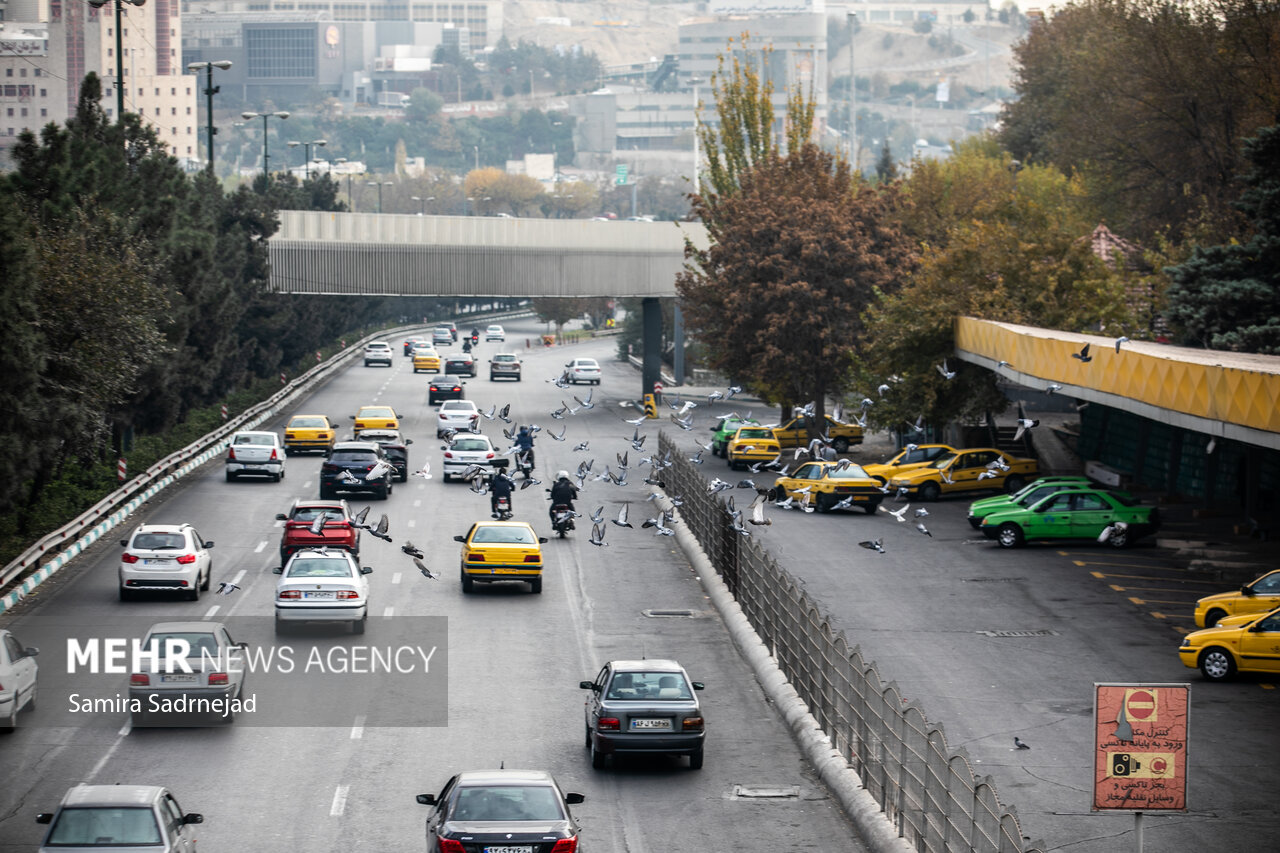 كارگروه،تهران،آذر،جلسه،تشكيل،ورش،باد،آلودگي،اضطرار،ناسالم،هو ...