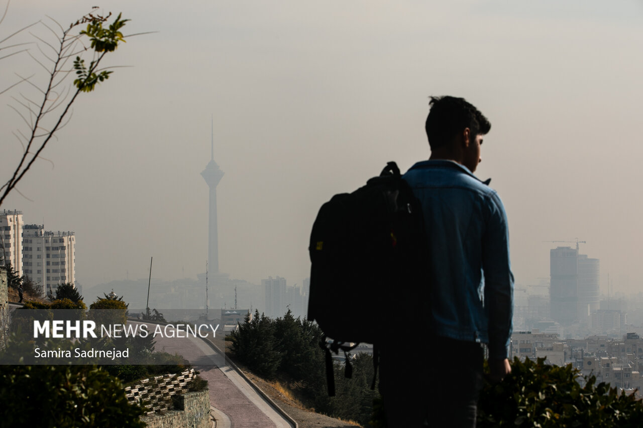 گزارش،جامع