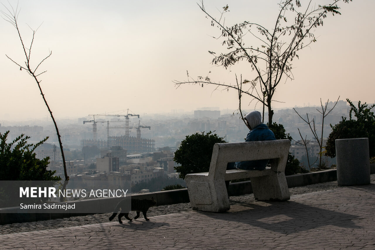 تمدید طرح زوج و فرد از در منازل و محدودیت تردد کامیون‌ها در تهران