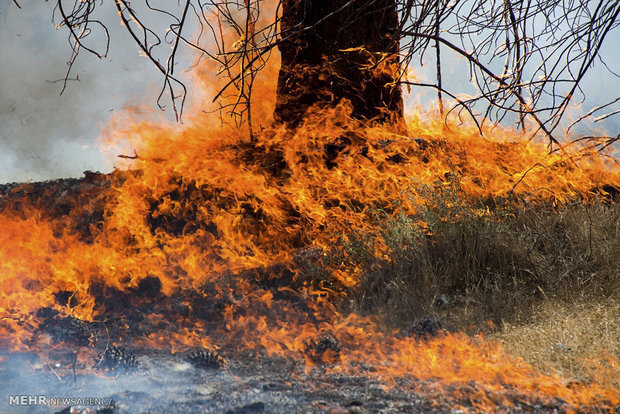اقدامات پیشگیرانه برای جلوگیری از تکرار حادثه الیت دنبال شود