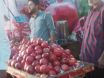 برگزاری آیین چهارمین دوره جشنواره ملی انار ساوه و اقوام ایرانی