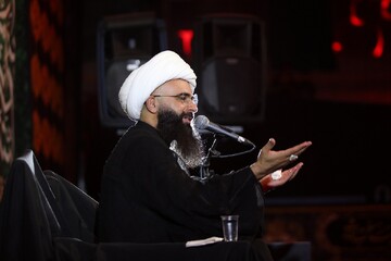 زندقزوینی:زیارت‌نامه حضرت معصومه(س) جایگاه ویژه این بانو را نشان میدهد