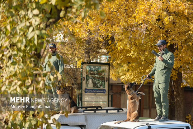 رزمایش اقتدار بسیج پایتخت