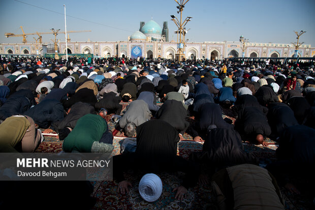 اقامه نماز طلب باران در حرم مطهر امام رضا (ع)