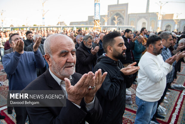 اقامه نماز طلب باران در حرم مطهر امام رضا (ع)