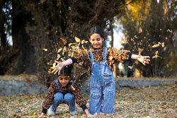 Hemedan'da yaprak dökümü festivali