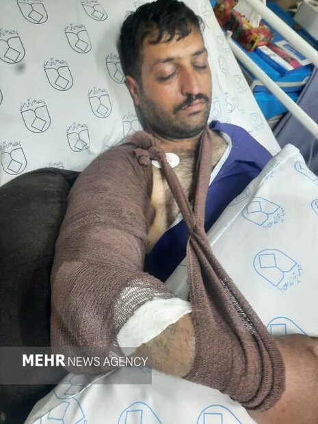 شکارچی متخلف با شلیک چهارپاره بازوی محیط‌بان فریدونشهر را شکست