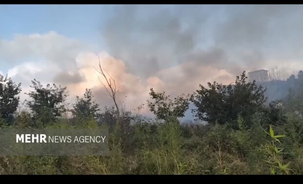 آتش‌سوزی گسترده در جنگل‌ها های کومله؛ ۱۵ هکتار طعمه حریق شد