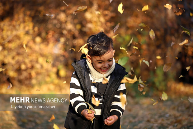 برگریزان هگمتانه