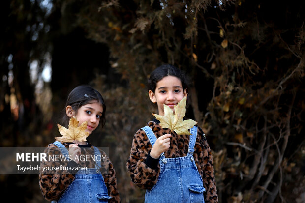 برگریزان هگمتانه