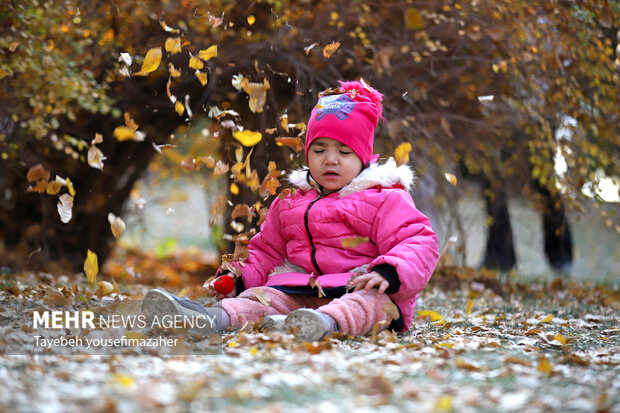 برگریزان هگمتانه