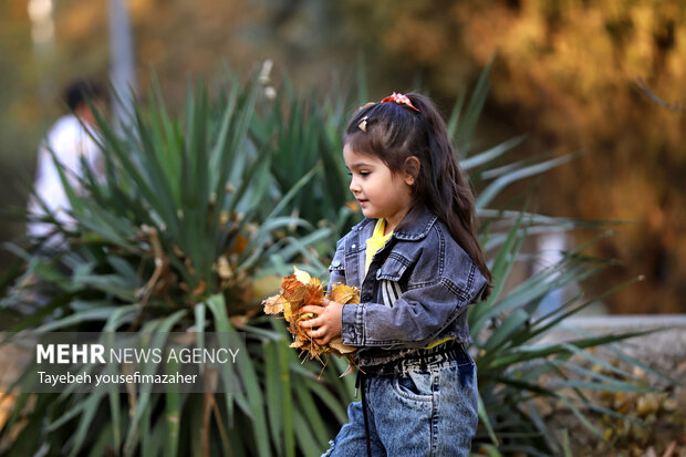 برگریزان هگمتانه