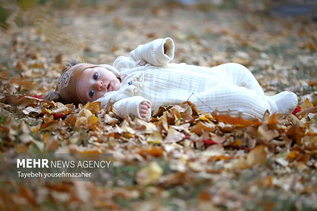 برگریزان هگمتانه