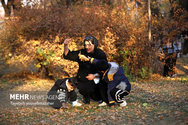 برگریزان هگمتانه