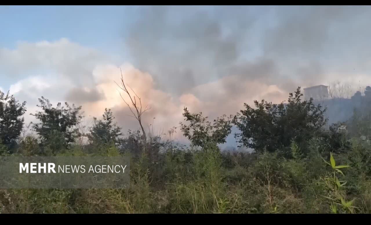 آتشسوزی گسترده در جنگلهای کومله؛ ۱۵ هکتار طعمه حریق شد آتشسوزی گسترده در جنگلهای کومله؛ ۱۵ هکتار طعمه حریق شد