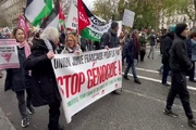 People in Paris hold pro-Palestine rally (+VIDEO)