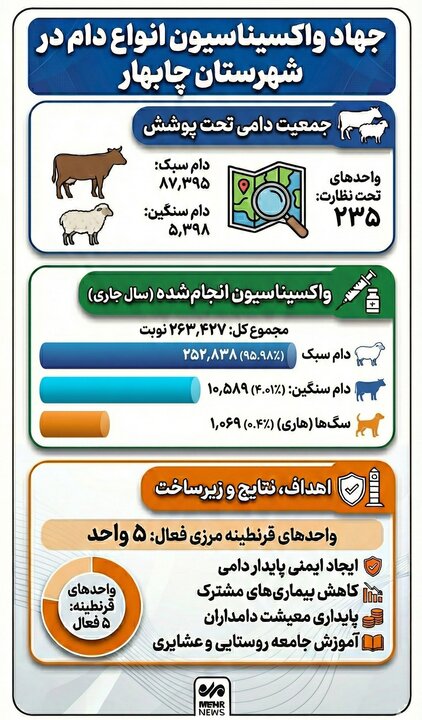 اینفوگرافیک؛ جهاد واکسیناسیون دامی در شهرستان چابهار