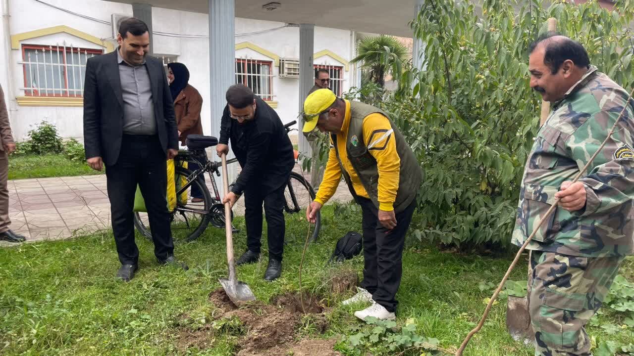 ۱۲ اصله نهال به یاد شهیدان خبرنگار در آستارا غرس شد ۱۲ اصله نهال به یاد شهیدان خبرنگار در آستارا غرس شد
