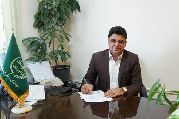 خاش؛ قطب تولید انار و بهرهمند از ظرفیتهای بینظیر کشاورزی