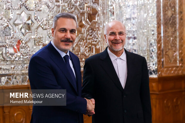 دیدار وزیر امور خارجه ترکیه با رئیس مجلس شورای اسلامی 