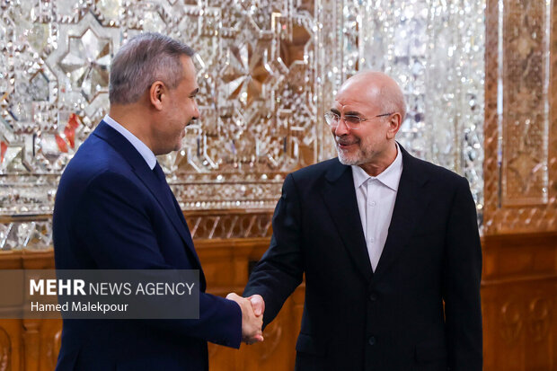 دیدار وزیر امور خارجه ترکیه با رئیس مجلس شورای اسلامی 