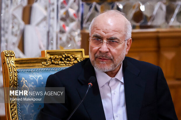 دیدار وزیر امور خارجه ترکیه با رئیس مجلس شورای اسلامی 