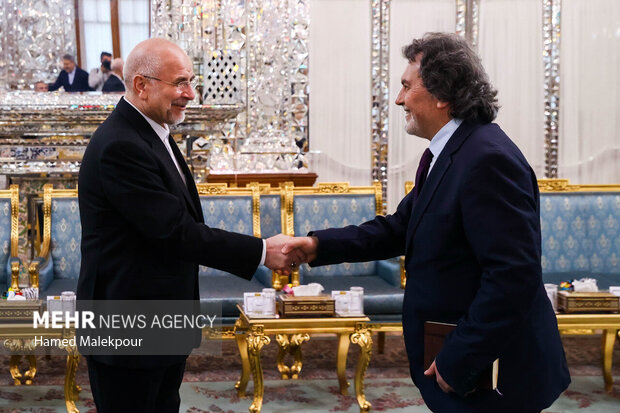 دیدار وزیر امور خارجه ترکیه با رئیس مجلس شورای اسلامی 