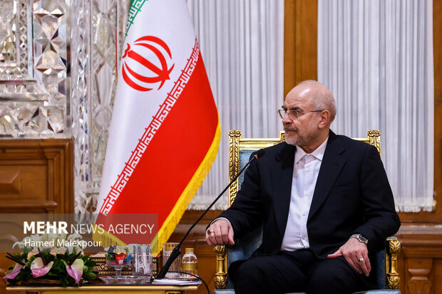 دیدار وزیر امور خارجه ترکیه با رئیس مجلس شورای اسلامی 