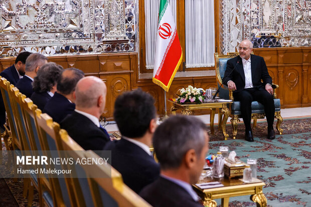 دیدار وزیر امور خارجه ترکیه با رئیس مجلس شورای اسلامی 