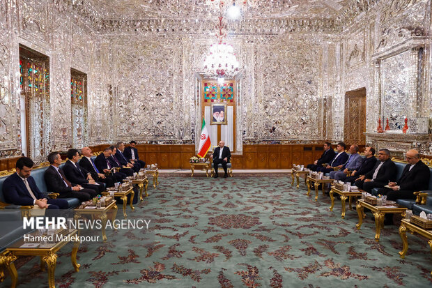 دیدار وزیر امور خارجه ترکیه با رئیس مجلس شورای اسلامی 