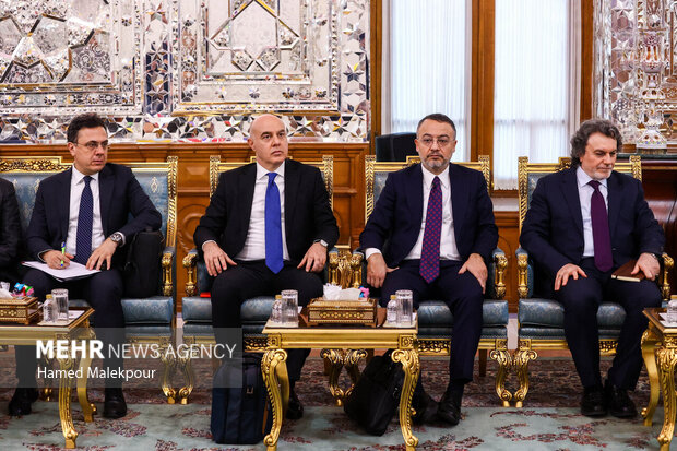 دیدار وزیر امور خارجه ترکیه با رئیس مجلس شورای اسلامی 