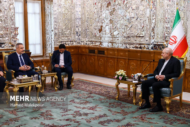 دیدار وزیر امور خارجه ترکیه با رئیس مجلس شورای اسلامی 