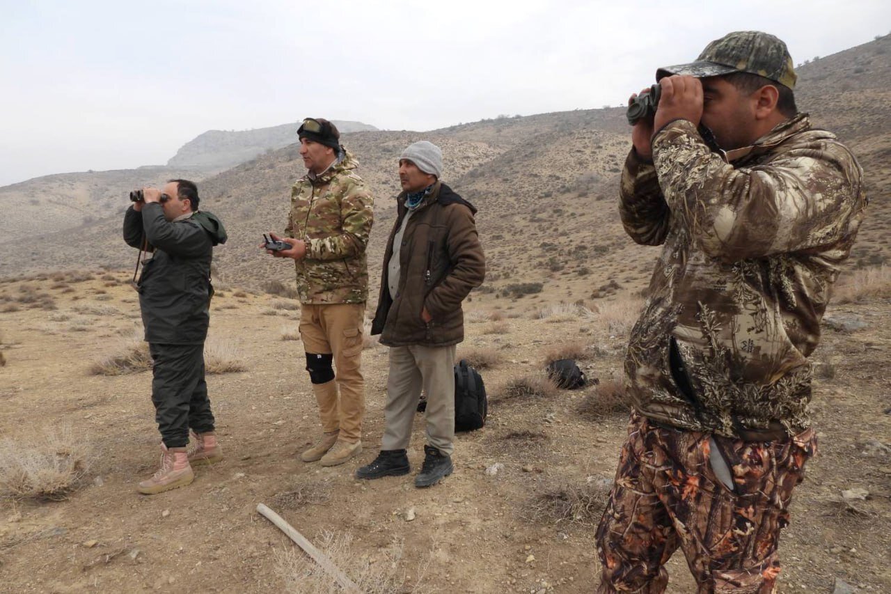 جباری: سرشماری پهپادی حیات وحش کشور در پارک ملی دریاچه ارومیه انجام شد
