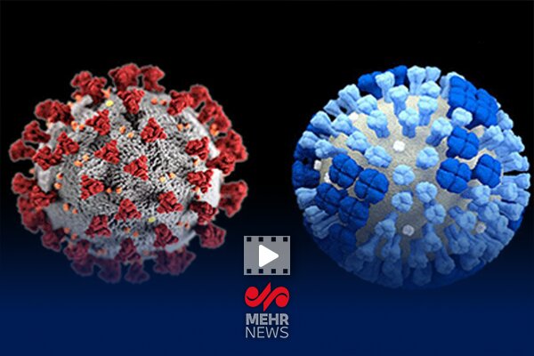 چطور بفهمیم کرونا گرفتیم یا آنفولانزا؟