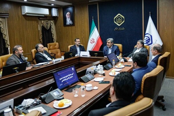 سازمان،هيئت،مديره،تأمين،عضو