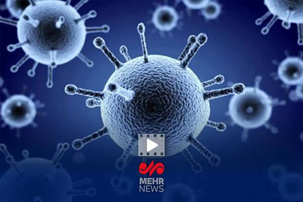 شیوع آنفلوآنزا در کشور سرعت گرفته است – خبرگزاری مهر | اخبار ایران و جهان شیوع آنفلوآنزا در کشور سرعت گرفته است – خبرگزاری مهر | اخبار ایران و جهان