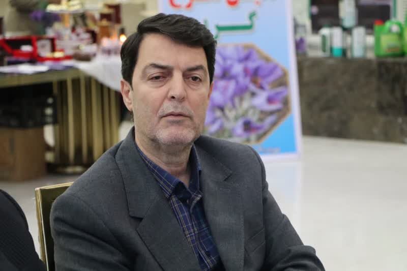 کشت زعفران می‌تواند به اقتصاد کشاورزی لرستان کمک کند