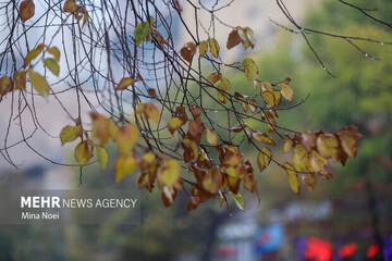 پیش‌بینی بارش‌های خفیف و کاهش محسوس دما در استان همدان